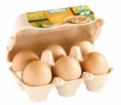 Bruderhahn-Eier, 6 Stück, Aus Deutschland