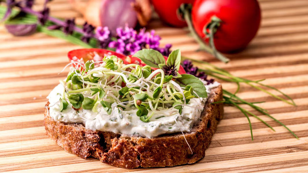 Seasoning Geschaft -Seasoning Geschaft sprossen180 v